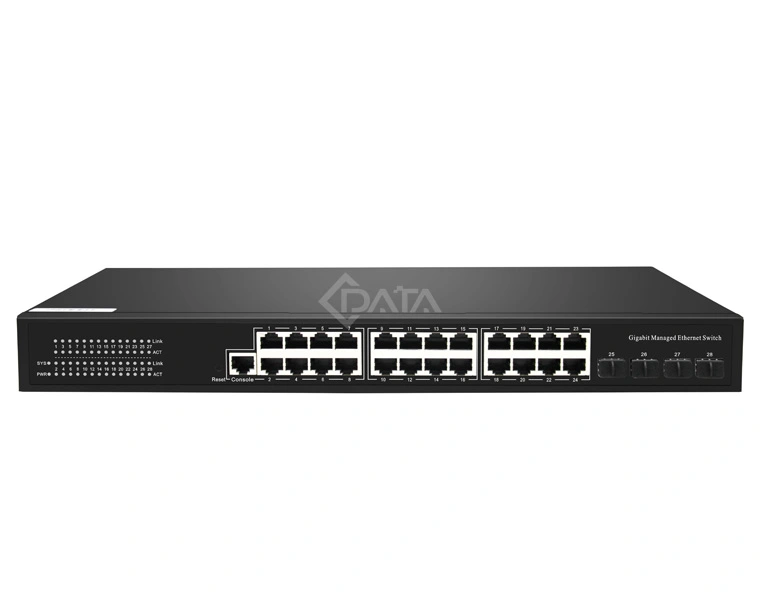 24 port switch
