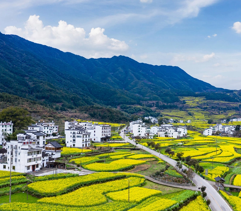 乡村或偏远地区